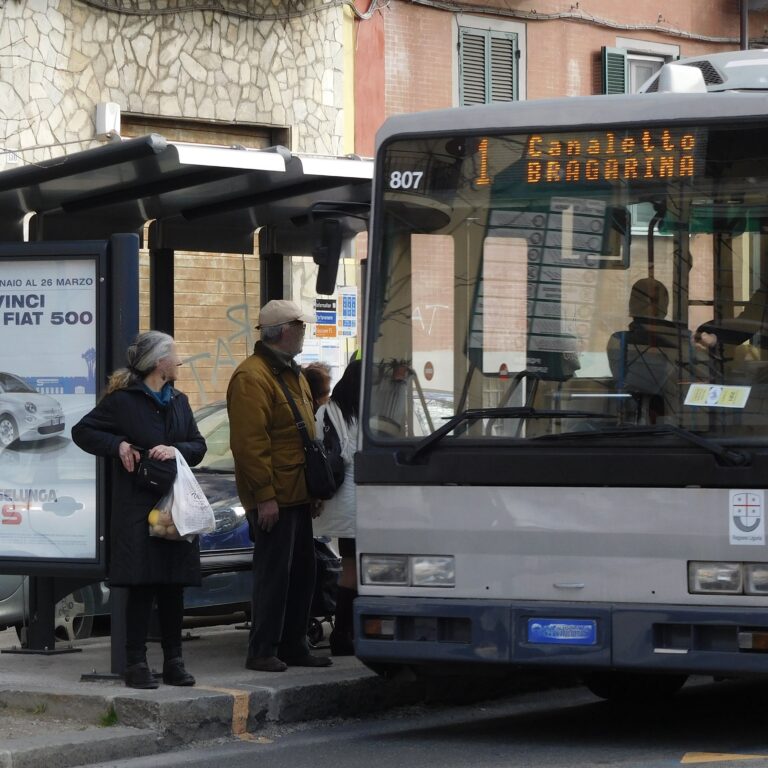 Pensilina attesa bus (4)